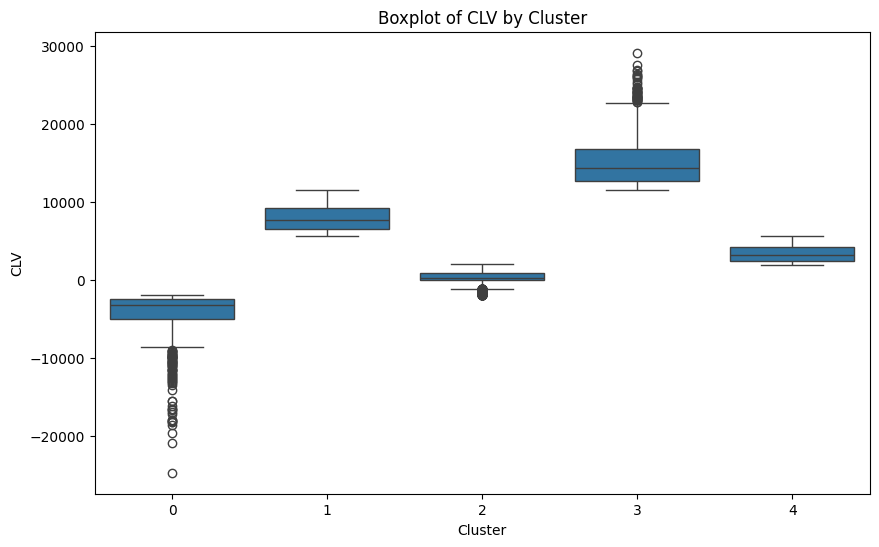 CLV Boxplot